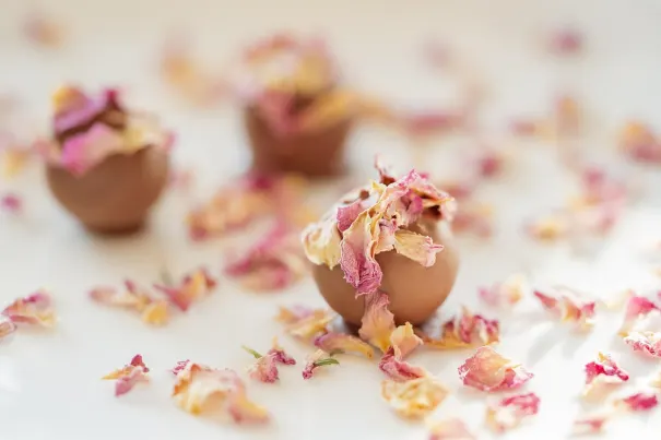 Casino Bella Vegas Aplicación Android/iOS